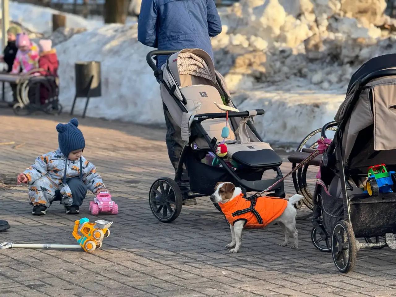 Дмитрий Денисов: Озеленение с заводским характером! Дмитрий Денисов: Озеленение с заводским характером!