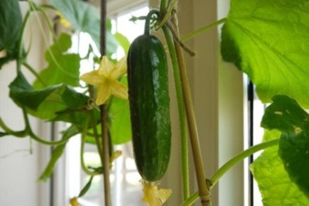 ��� ������� ��������� ������� ��� ������� �� ������� ��� � ��������