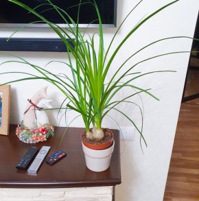 ������ ������? ������ ��� ���, ��� ���������� �� ���� ������� ��������