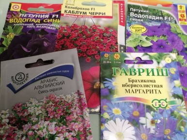 Весна в горшках: какие цветы сеять в марте