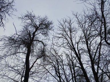 � ��������� ������� ����� ��� ������ �������������