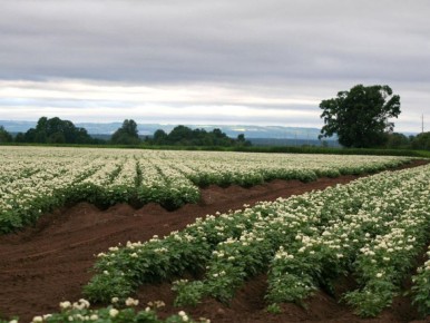 ��� �������� ������ ������ ���������: ������� ��������� �����������