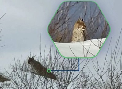 ���� �������� � ��������� �������