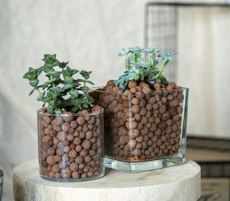 ������ ��� ��������� ��������: ���������� ��������� � ������ �� �������