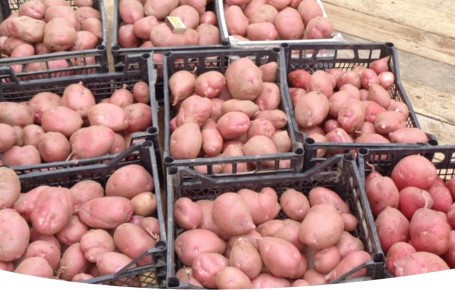 ��� �������� ������ ��������� �� ����� � ��� �� �������