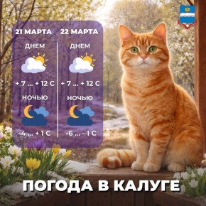 На выходных погода порадует калужан