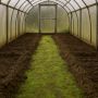 Почему почва в теплице покрывается зелёным налётом и как с этим справиться
