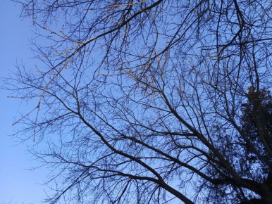 В Калужской области сбили 24 беспилотника