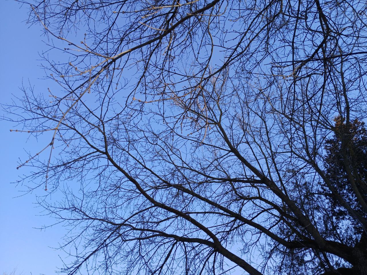 В Калужской области сбили 24 беспилотника