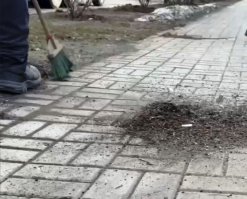 ��������� ������ � ���� ������ �� ����� ������������ ��������