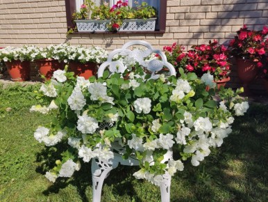 �������� �� �����: ��� ���������� � ����� ������������