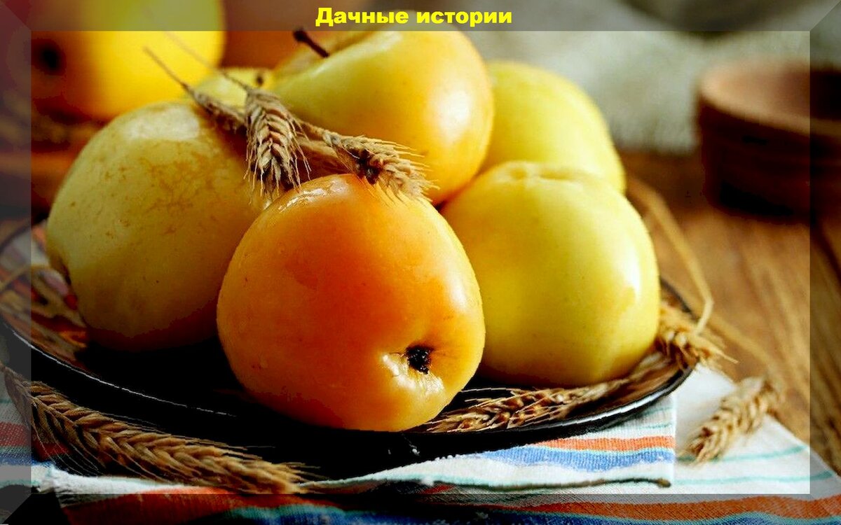 Секреты моченых яблок: как сделать их еще полезнее