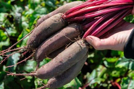 ��� � ����� ������: �� ������������ �� ������ �����