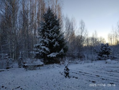 ��������� ���� ������ �������: ��� ������� � ���� ������?