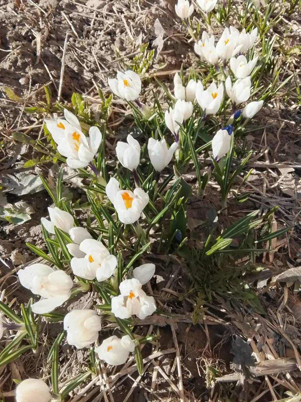 В Калуге ожидается солнечная погода до +10°С