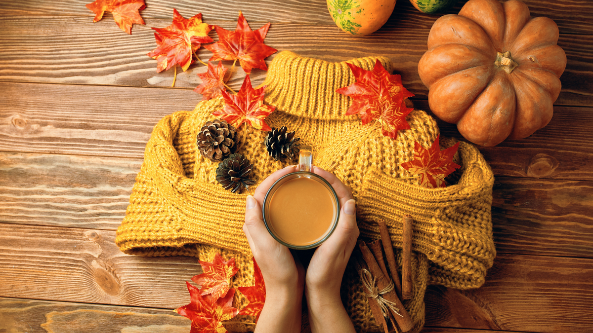 Юмор и тепло: как простые истории могут поднять настроение