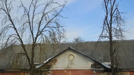 В Калуге на Чичерина пять аварийных деревьев угрожают безопасности детей