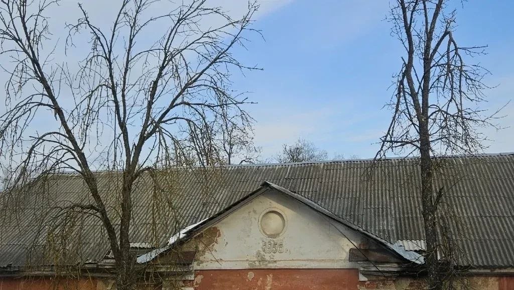 В Калуге на Чичерина пять аварийных деревьев угрожают безопасности детей