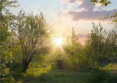 Калужскую область ждёт теплая погода