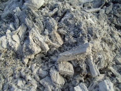 ���� ��� ���������: ��� ����� ����� � ���� ��������