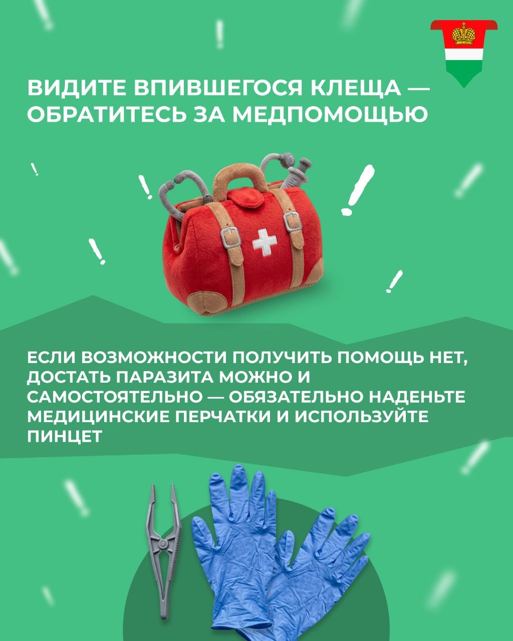 Что делать, если вас укусил клещ? Что делать, если вас укусил клещ?