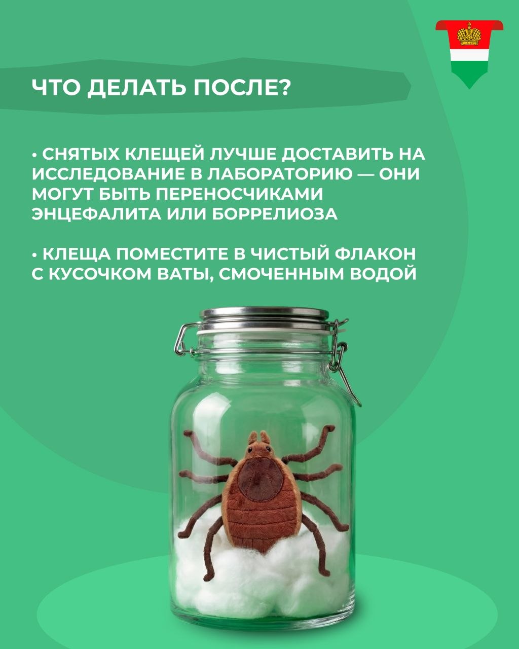 Что делать, если вас укусил клещ? Что делать, если вас укусил клещ?