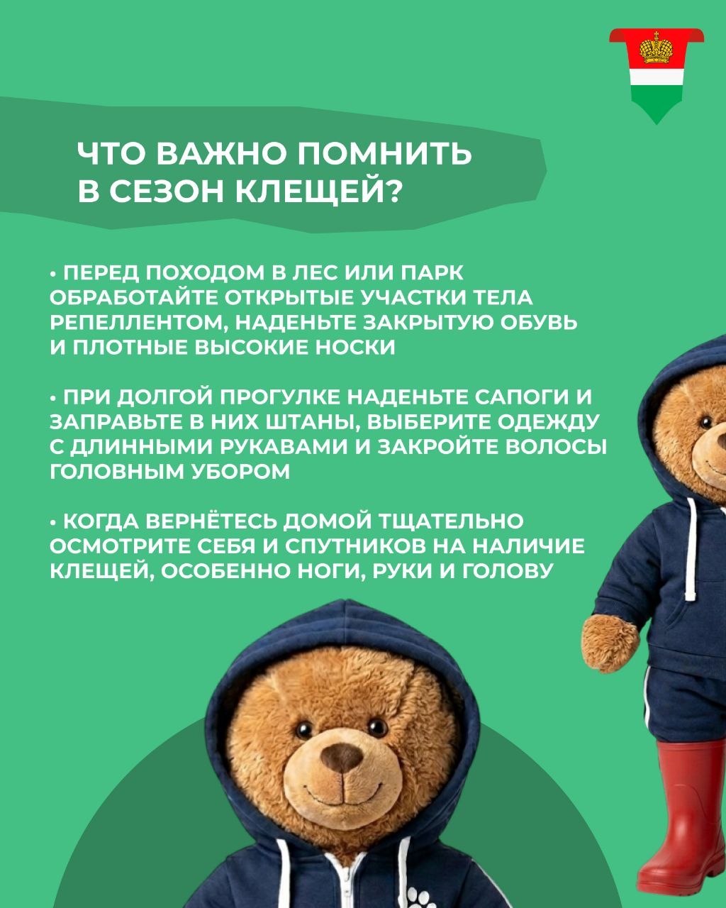 Что делать, если вас укусил клещ? Что делать, если вас укусил клещ?