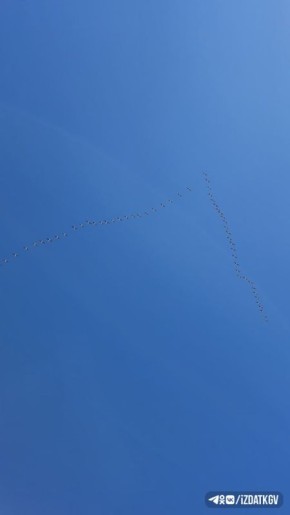 Новости дня:. Завершился третий очный модуль программы «Герои земли Калужской» Детский сад «Сказка» начали ремонтировать в Людинове Калужская область стала самым быстрорастущим регионом по железнодорожным...