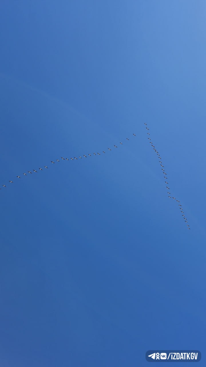 Новости дня:. Завершился третий очный модуль программы «Герои земли Калужской» Детский сад «Сказка» начали ремонтировать в Людинове Калужская область стала самым быстрорастущим регионом по железнодорожным...