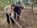 Месячник по благоустройству в Калуге продлится до 5 мая