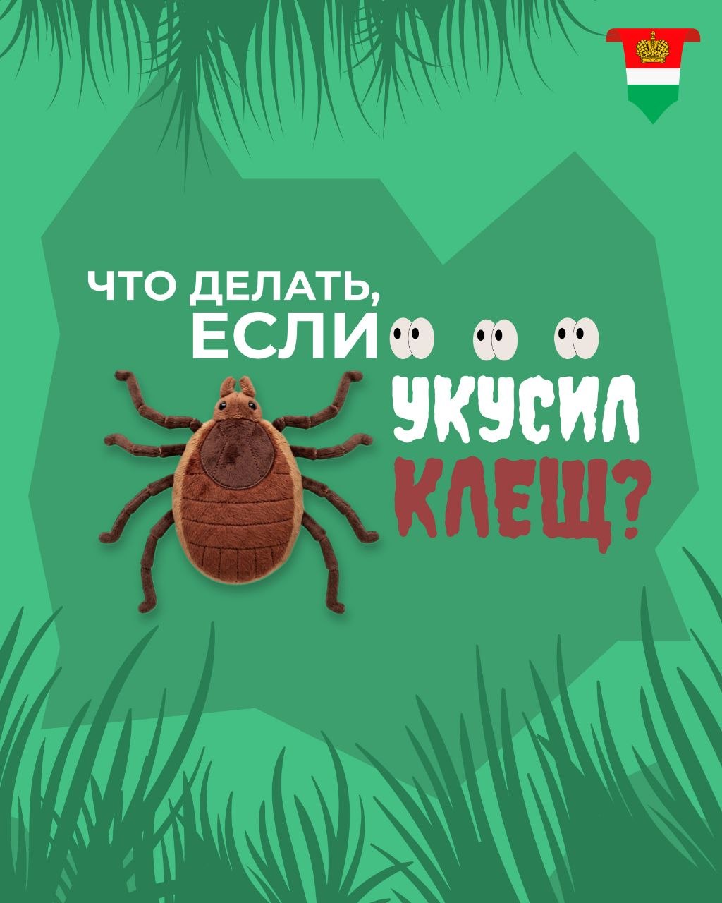 Что делать, если вас укусил клещ?