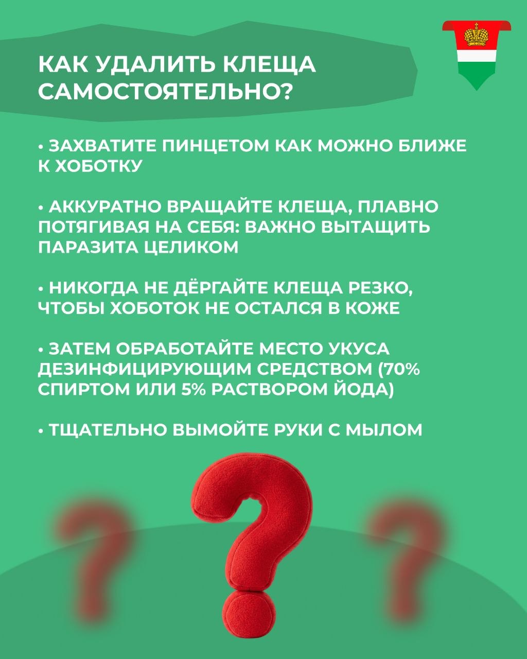 Что делать, если вас укусил клещ? Что делать, если вас укусил клещ?