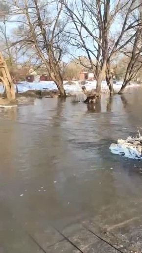 В Калужской области показали затопленную рекой дорогу