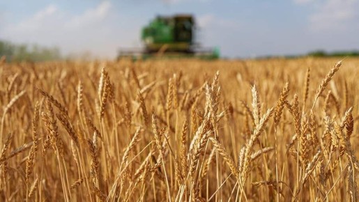 Новые правила и законы в России с 1 марта 2026 года