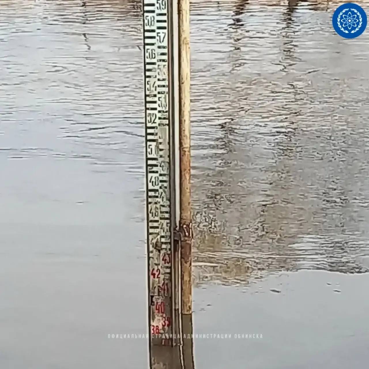 Протва поднялась ещё на полметра