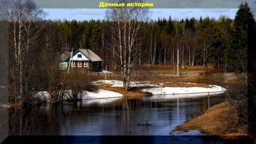 Ответы на 20 актуальных вопросов для начинающих дачников