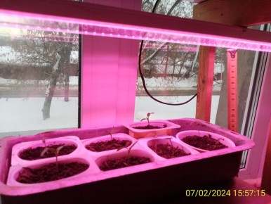 ��� ��������� ������� �������: ������� ����� �� �������� � ������