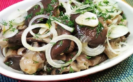 Соленые вешенки за сутки: невероятно быстрый рецепт для потрясающего вечера