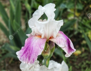 ��� ������������ � ������ �����: �������� ������ ��� ���������