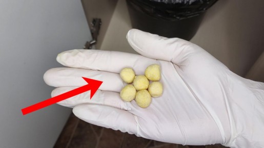 Эффективные методы борьбы с тараканами в доме