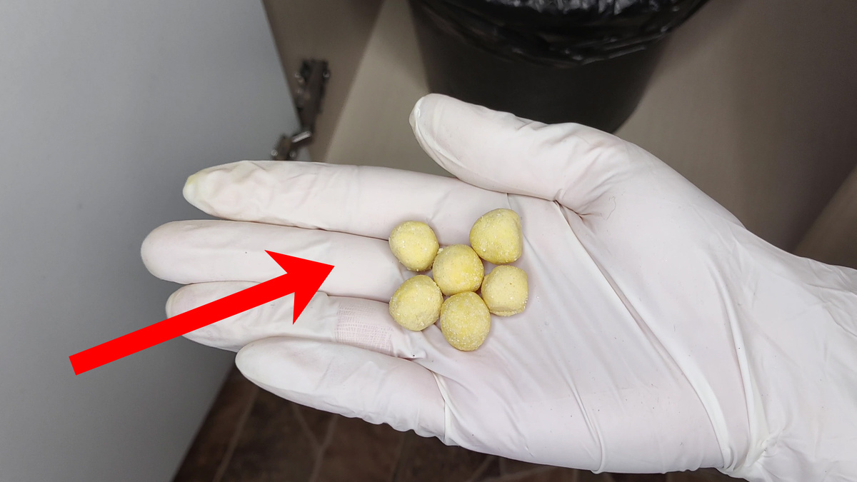 Эффективные методы борьбы с тараканами в доме