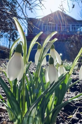 � ��������� ������� ���� ���������� �����