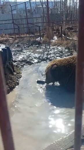 ��������� ���� �������� � ��������