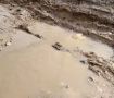 В Канищево из-за отсутствия ремонта на дороге образовалось «болото»