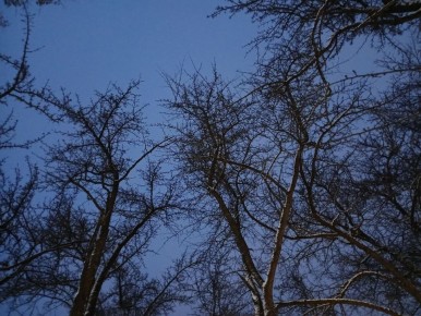 ����� ��� ��������� �������� ����� ���� �������������