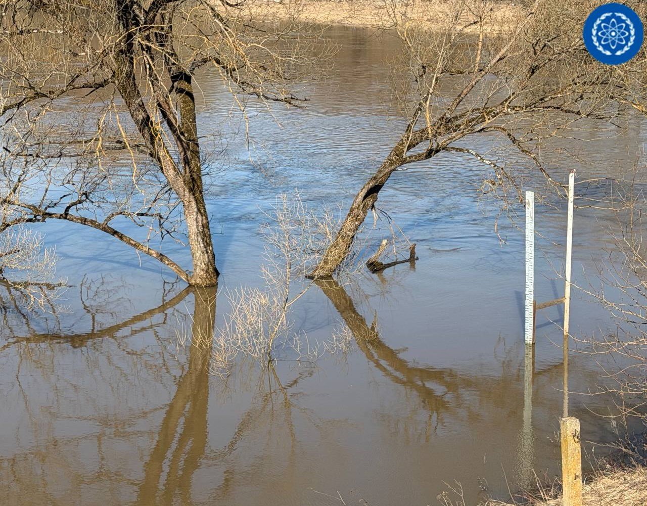 Вода в Протве поднялась и подтопила четыре СНТ под Обнинском