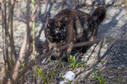 � ��������� ������� ������������ ����� ����� ���� �� ��� ������� ����������