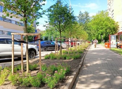 � ������ ����������, ��� ������� ����� �������