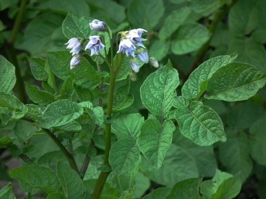 ��� ��� �������� �������� �������� ������ ���������