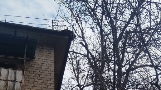 � ������ ������ ���� ��� ���� ���������� �������� ������